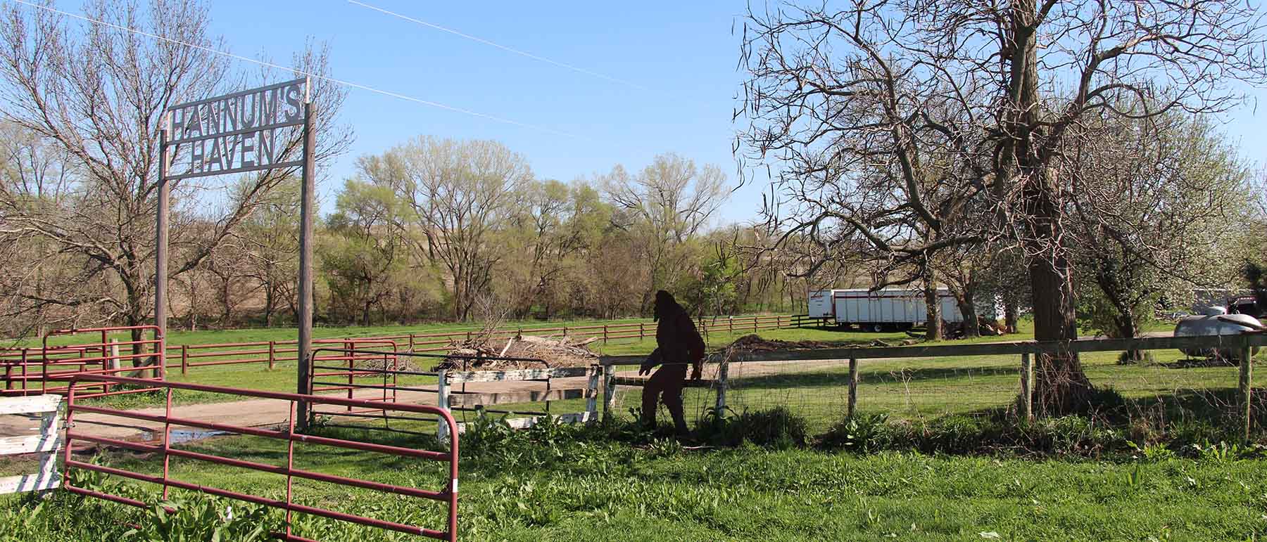 grass fed bigfootbeef nebraska